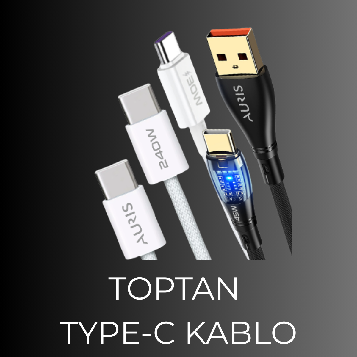 TOPTAN SARJ ALETI 43